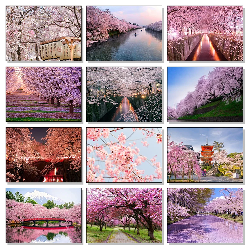1pc frameless Canvas Painting Japan Landscape Backdrop Japanese Cherry Blossoms Mount Fuji Canvas Painting Wall Art HD Pictures