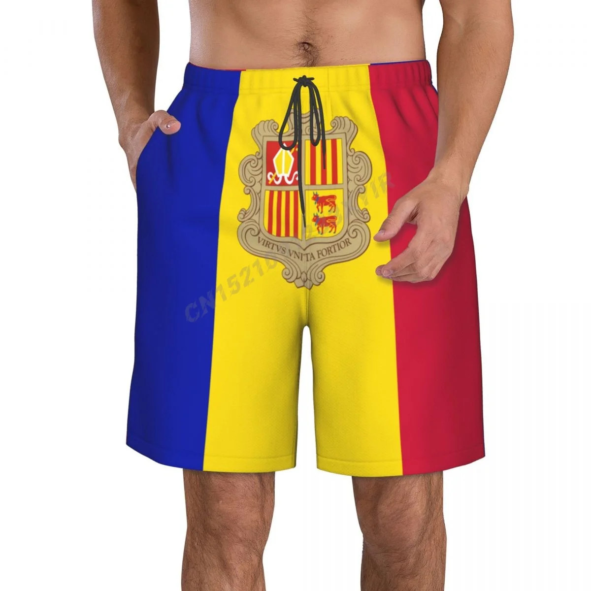

Летние мужские пляжные брюки с флагом Андорры, шорты для серфинга, M-2XL, полиэстер, купальники для бега