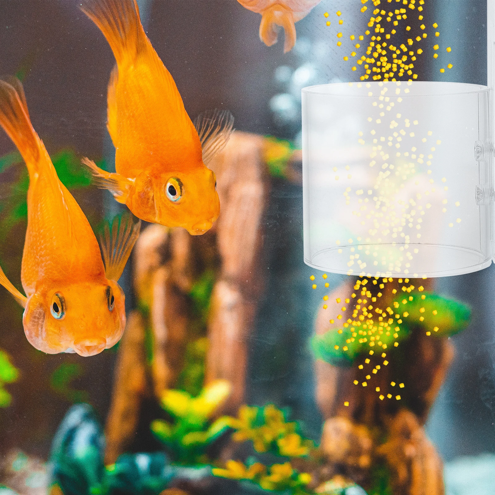 

Acrylic Fish Feeder Feeding Ring for Freshwater Aquarium Tank Healthy Growth Transparent Material Easy Management Fish Feeding