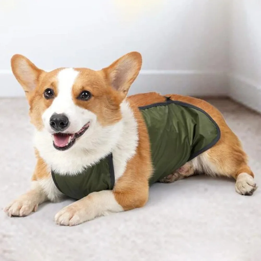 Waterproof Pet Dog Bellyband Clothes Anti-dirty Windproof Dog Protective Belly Cover Breathable Dog Costume