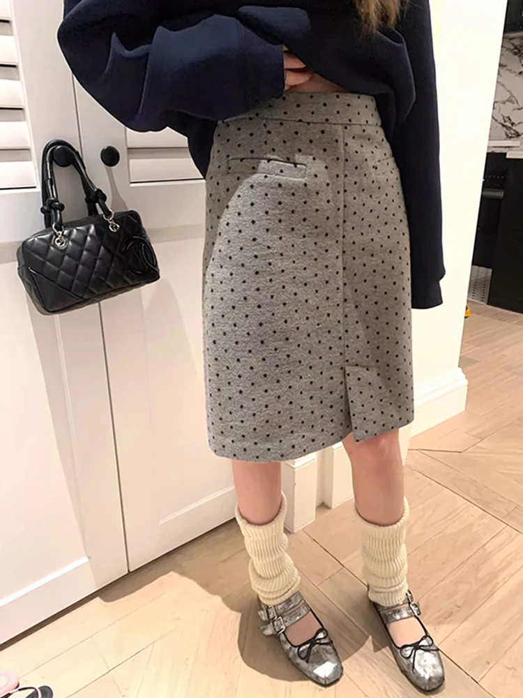 

ay Polka Dot f Skirt Women's Straight Korean Sle Commute High Waist mid Length A-Line Skirt Spring Autumn Design Sense...