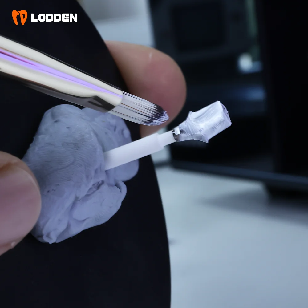 LODDEN Dental Lab Developer Paste 10g for Scanning