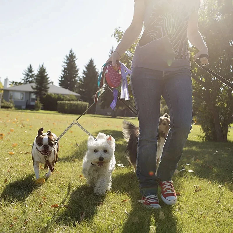 Metal Double Dog Leash 2 Way No Tangle Coupler Durable Outdoor Pet Walking Training Chain Lead for Small Medium Dog Pet Supplies