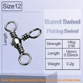 Size12