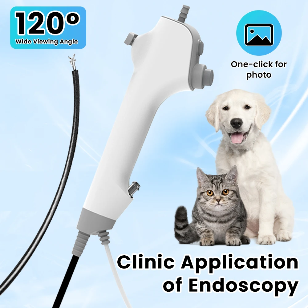 

ENT Veterinary Endoscope Camera Multi-function Flexible Urology Endoscopy Cystoscope For Animal Pet Surgical Equipment