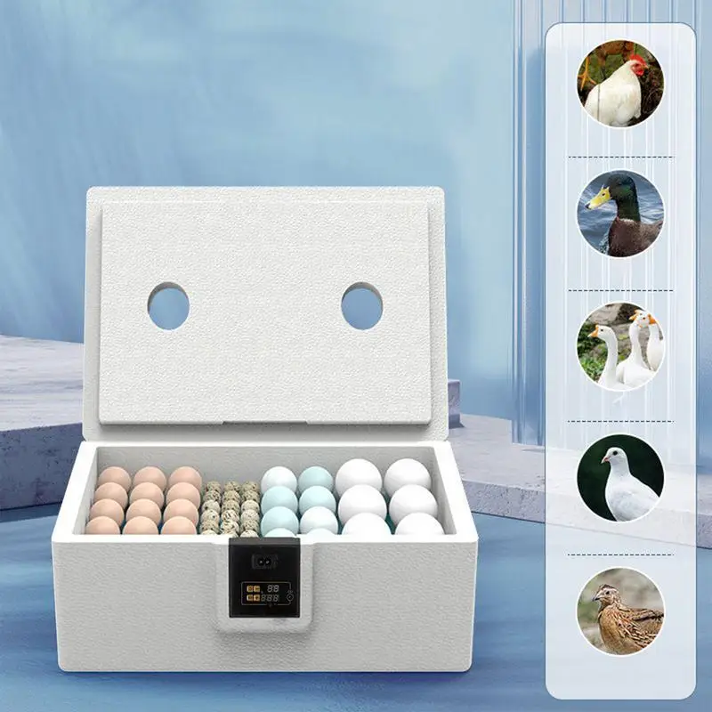 Инкубатор для куриных яиц