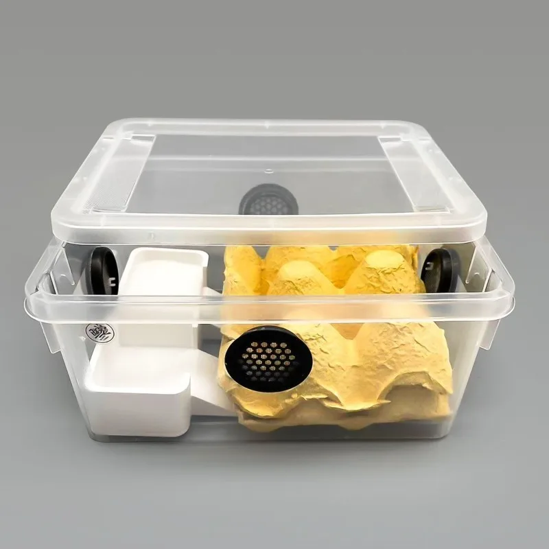Cricket Breeding Container Breathable Cherry Cockroach Cricket Breeding Box Mealworm Small Insects Box Insect Kennel Habitat