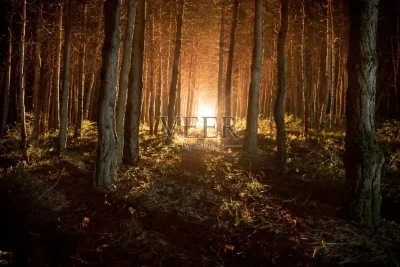 

Aluminum Alloy Bellcranks Steering Assembly 10743 for TRXS Mini Maxx Mini XRT Monster Truck RC Car Upgrade Parts Accessories