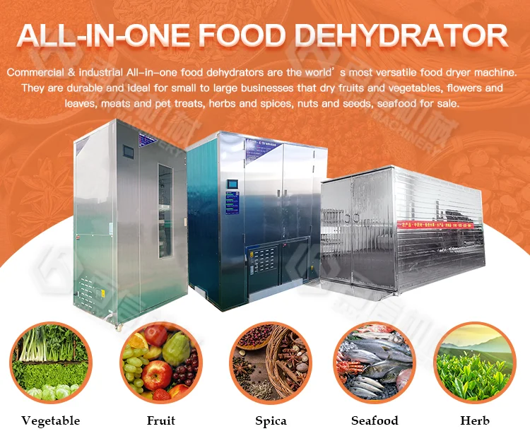 Industriële Commerciële Voedsel Dehydrator Droger Groente Fruit Droogmachine Voedsel Zeekomkommer Droger