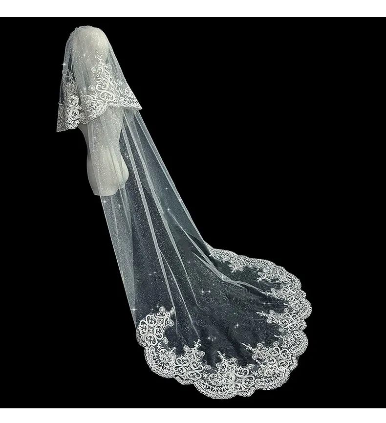 Sparkling Tulle Wedding Veils 2 Layers Bridal Veil with Comb Tulle with Floral Applique Wedding Accessories L&P DQL Studio