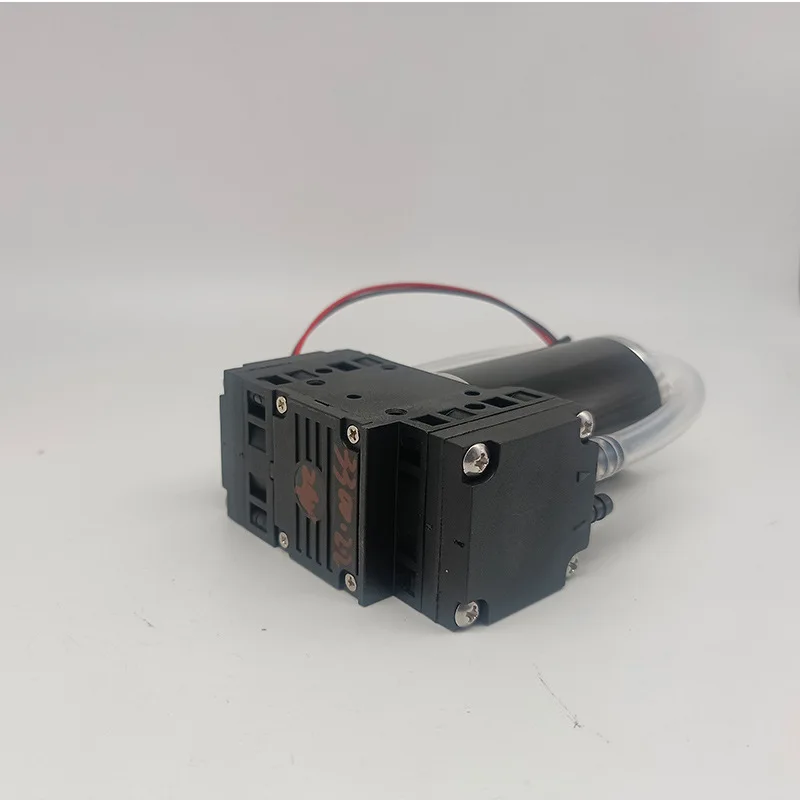 Double Head Pumping Long Life Micro Pump 24v DC Brush Motor Small Pumping Pump Mini