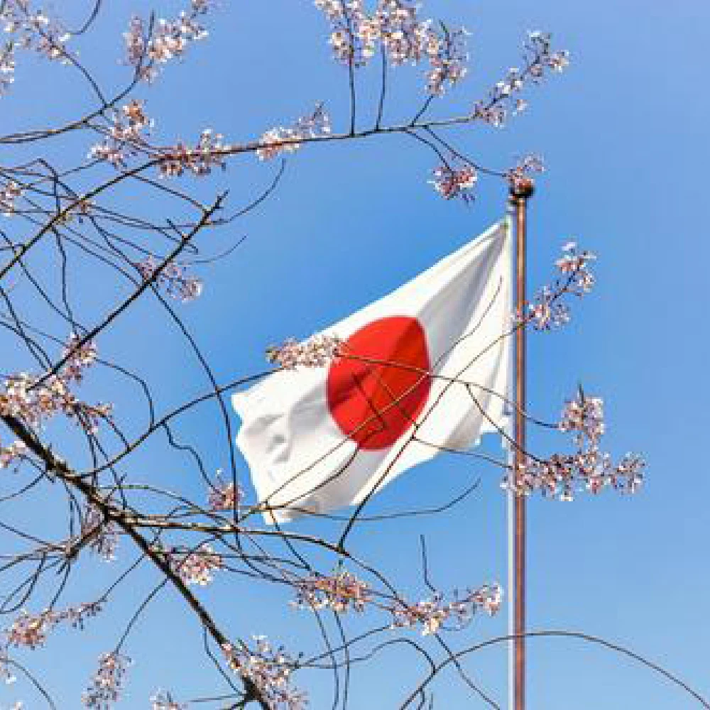 FLAGLINK 90x150 CM JP JPN Japanese Japan Flag  For Decoration