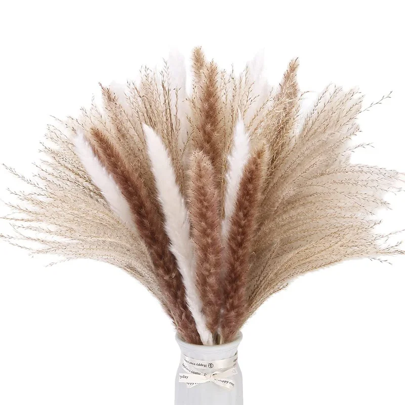 60pcs Dried Pampas Grass Decor,17\