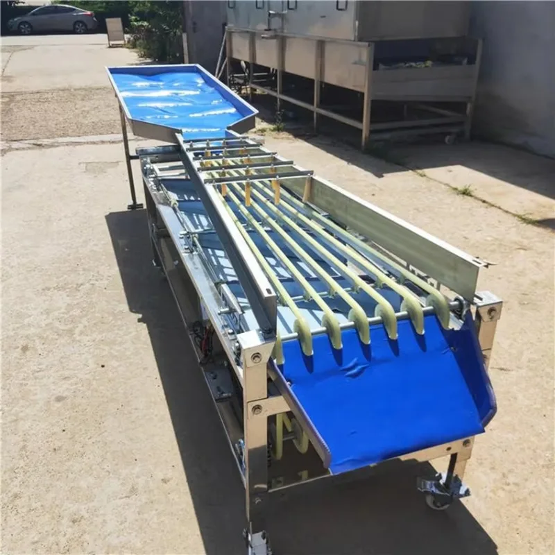 Roller Type Fruit Size Sorting Machine Automatic Fruit Grading Separator Equipment For Berry Small Fruit Farm Processing Use