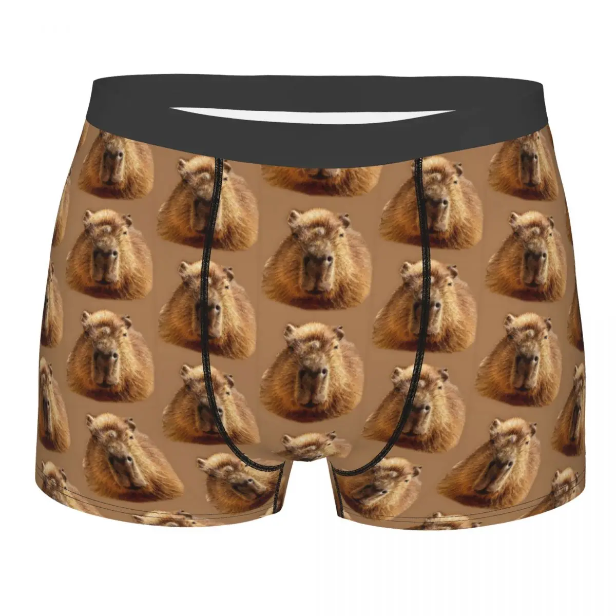 

Custom Capybara Dozing In The Sunshine Boxer Shorts For Homme 3D Print Popular Animals Underwear Panties Briefs Soft Underpants