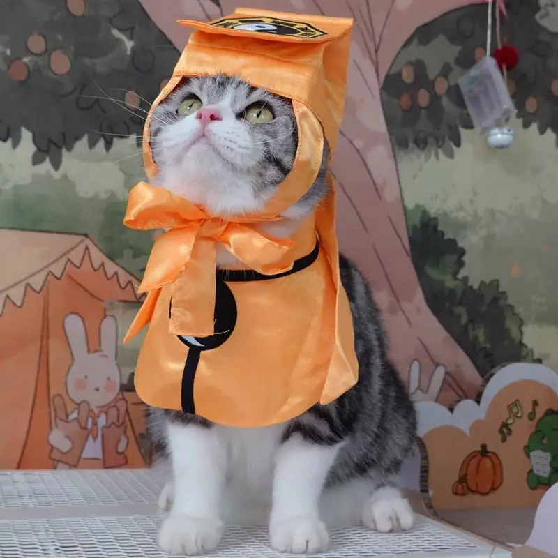 Imitation of a Taoist funny cat clothing pet transformation cat Halloween costumes English short American short cat