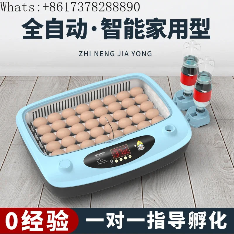 

A water bed for incubating chicks Rutin Chicken Incubator Small household incubator incubator.