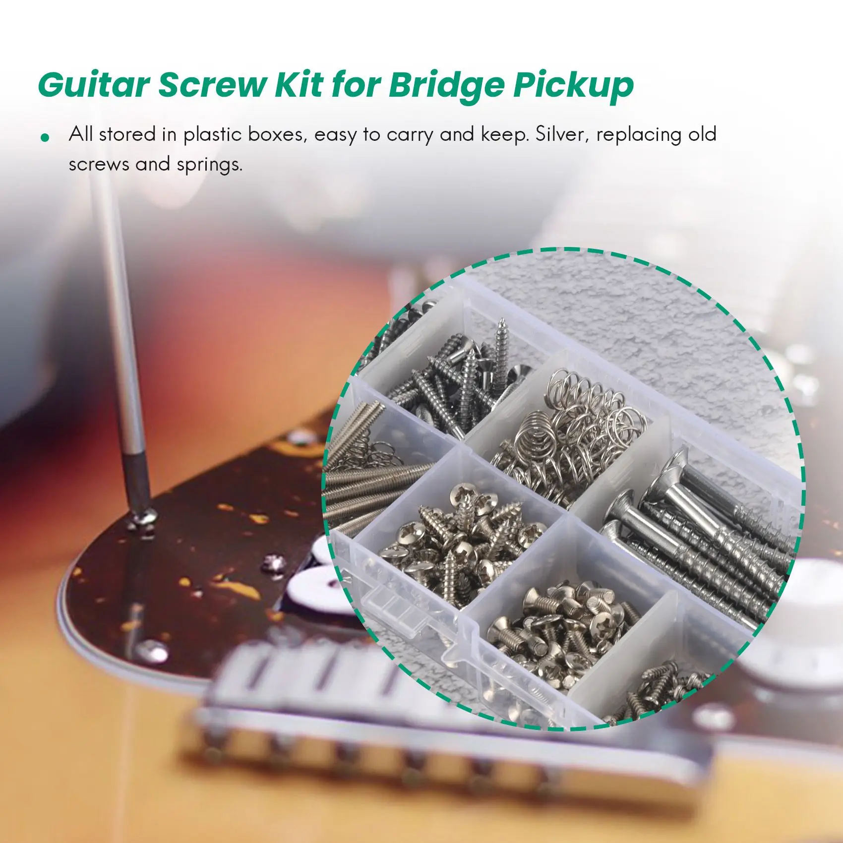 204 Pcs Guitar Screw Kit 9 Types Assortment Set With Springs For Electric Guitar Bridge Pickup Pickguard Tuner Switch Neck Plate
