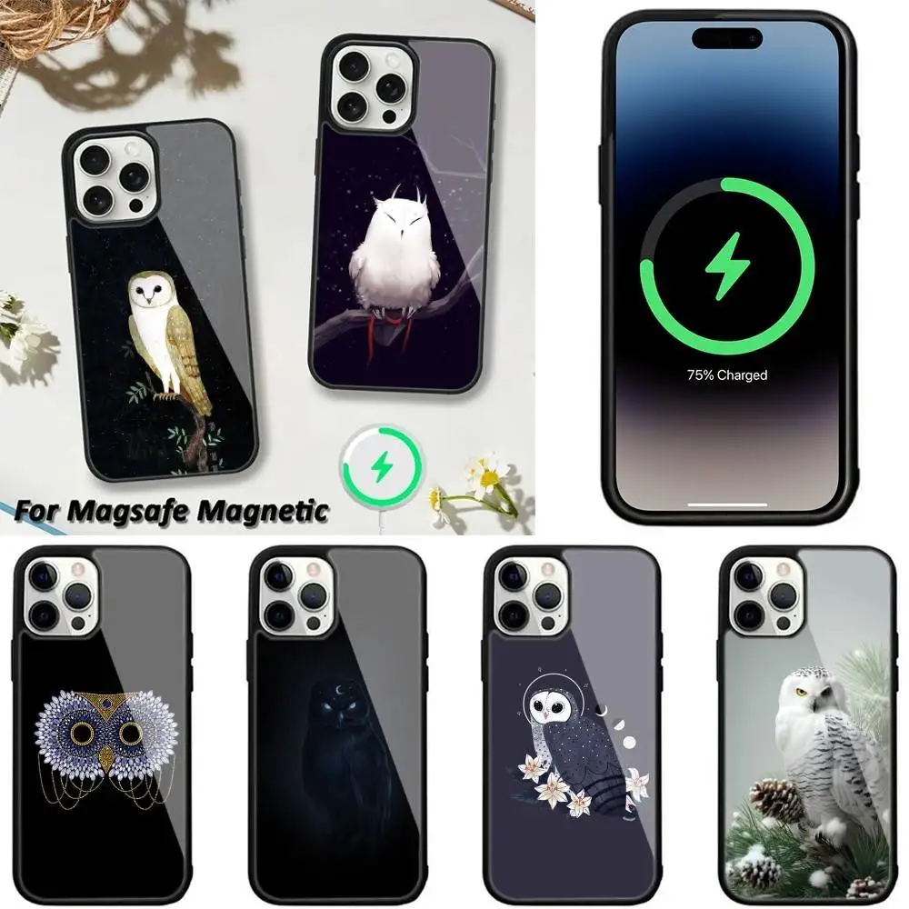 

Cartoon Art Owl New High-End Phone Case For iPhone 16,15,14,13,12,11,Plus,Pro,Max,Mini Magsafe Magnetic Wireless Charging