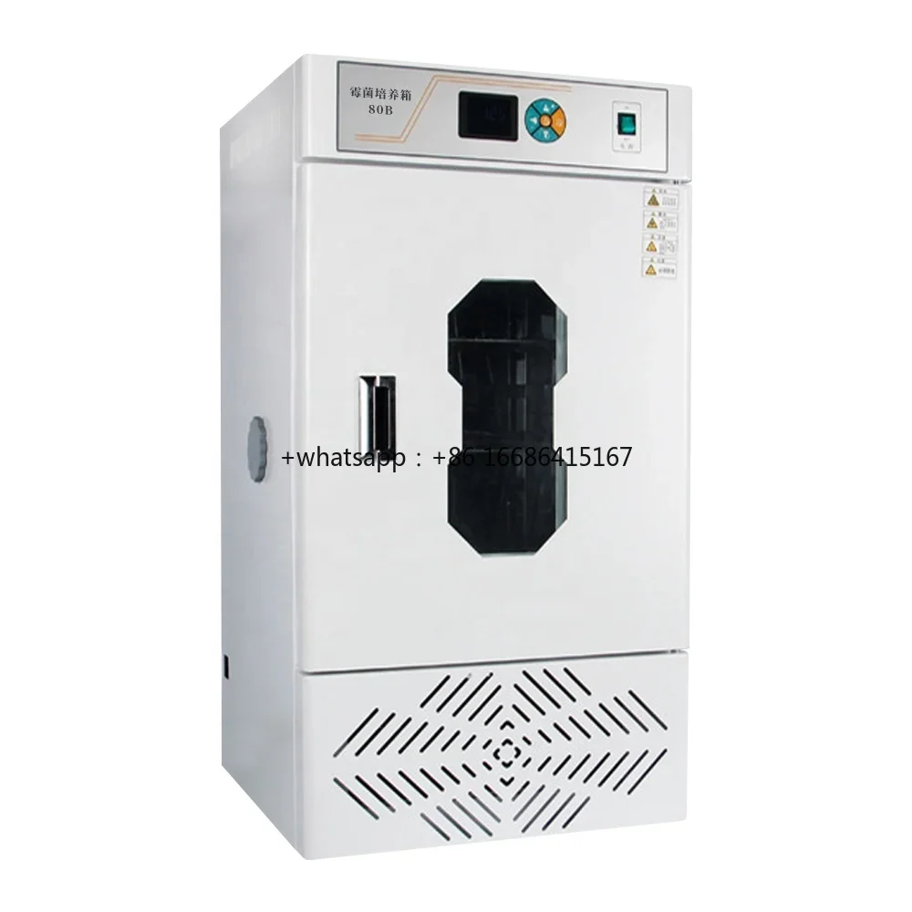 

New Arrival Digital Mold Growth Microbiology Lab Precision Fungal Bacterial Laboratory Microbial