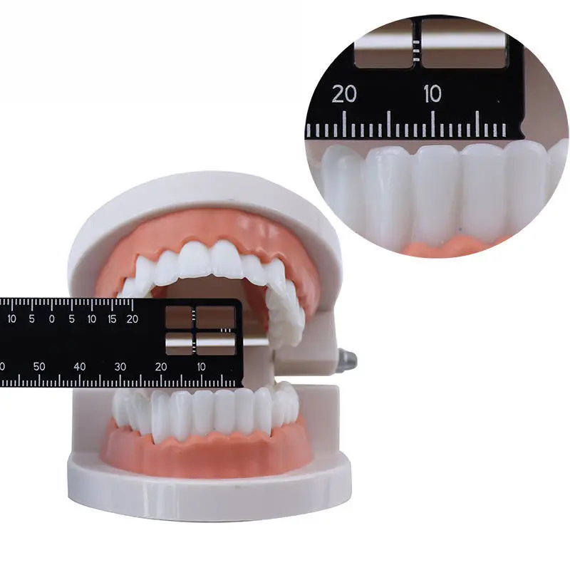 1Pcs Dental Precision Measuring Ruler Dental Measuring Ruler Multi-Measuring Caliper Dental Endo Rule