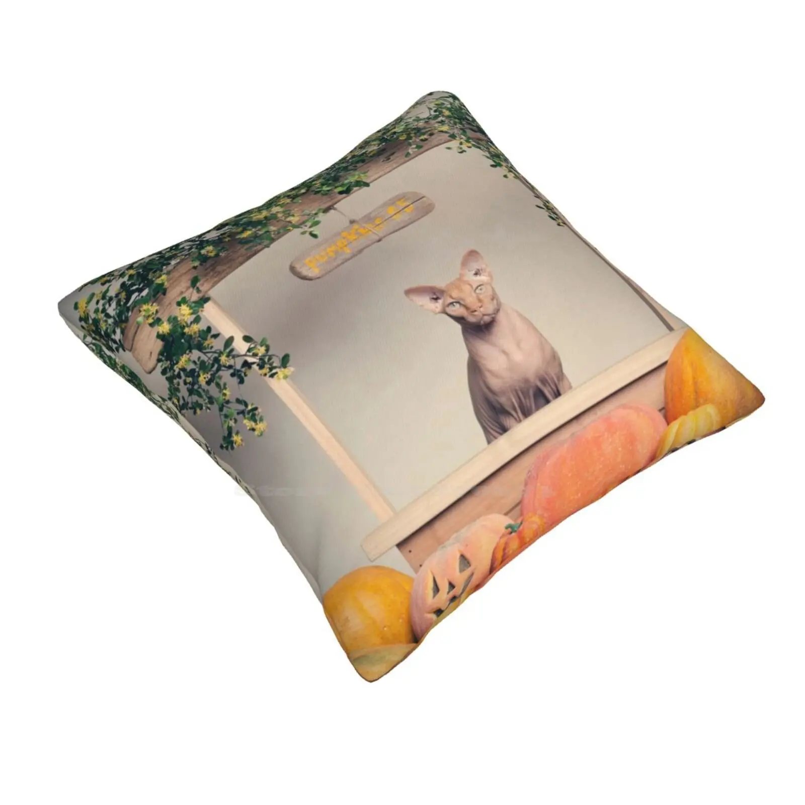 The Pumpkin Stop Funny Cute Decor Square Pillowcase Animals Sphynx Cats Pets Pet Photography Halloween Pumpkins Holidays