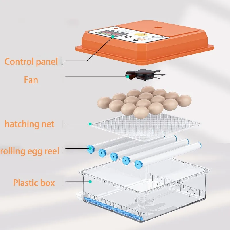 Imagem -04 - Sistema Controlado por Computador Duplo Elétrico Incubadoras Automáticas Ovo Galinha Galinha Ovos Indústria Alta Hatchabilidade 12 16