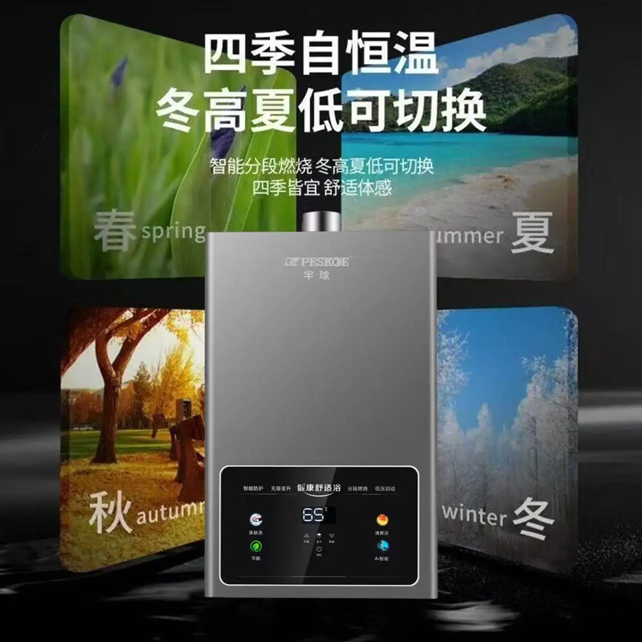 Household Gas Water Heater Natural Gas LPG Constant Temperature Balanced Type Instant Heating Anti-freezing Energy Saving