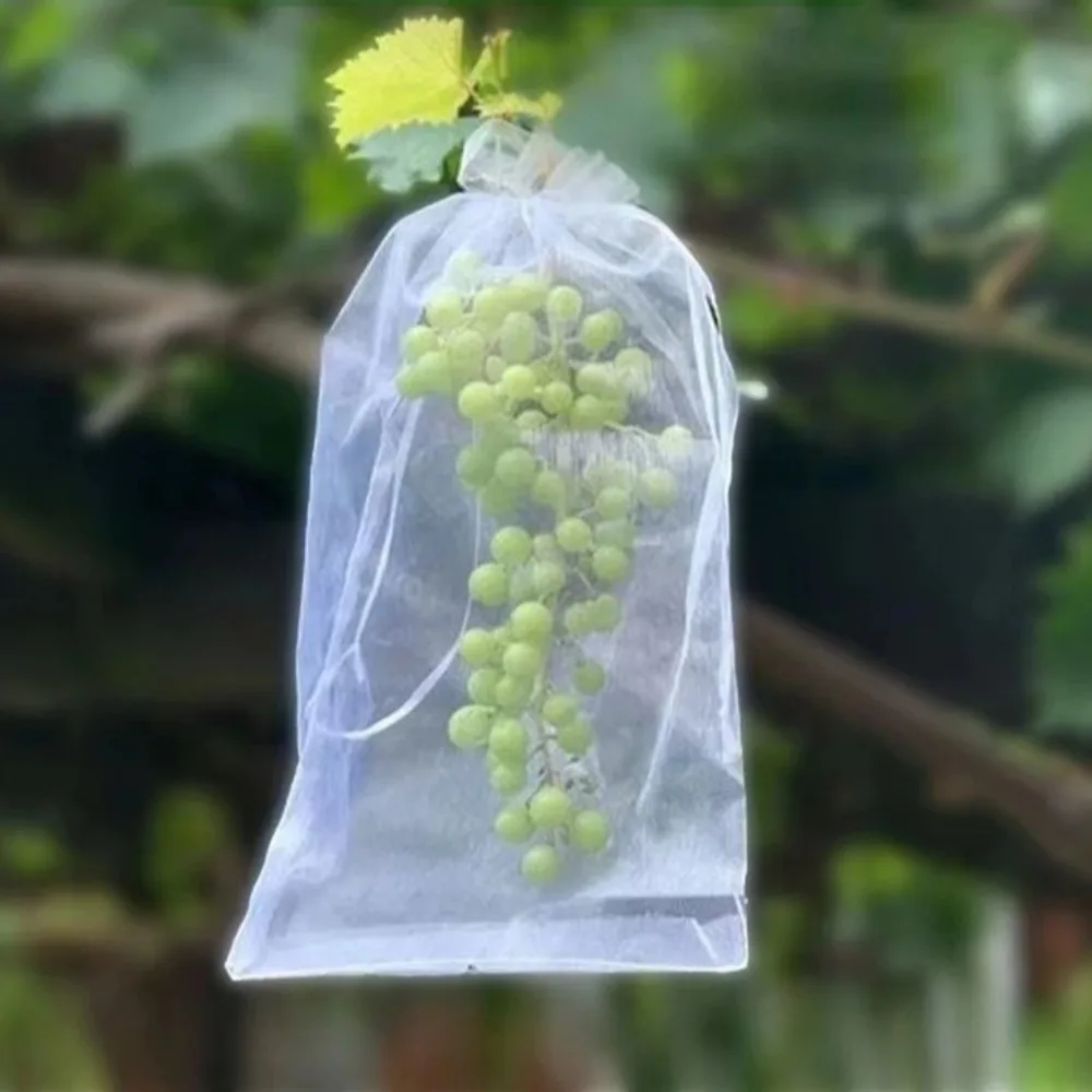 100 sacs de protection en filet pour fruits (raisins, fraises), légumes et plantes, anti-parasites et anti-oiseaux, outils de jardinage