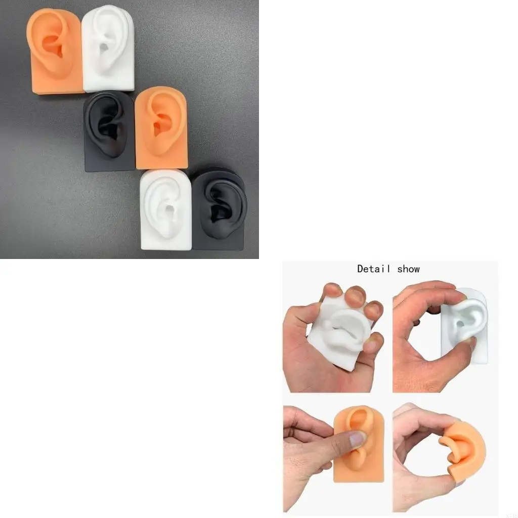 

Soft Silicone Simulation Human Ear Model Ear Acupuncture Earphone Model