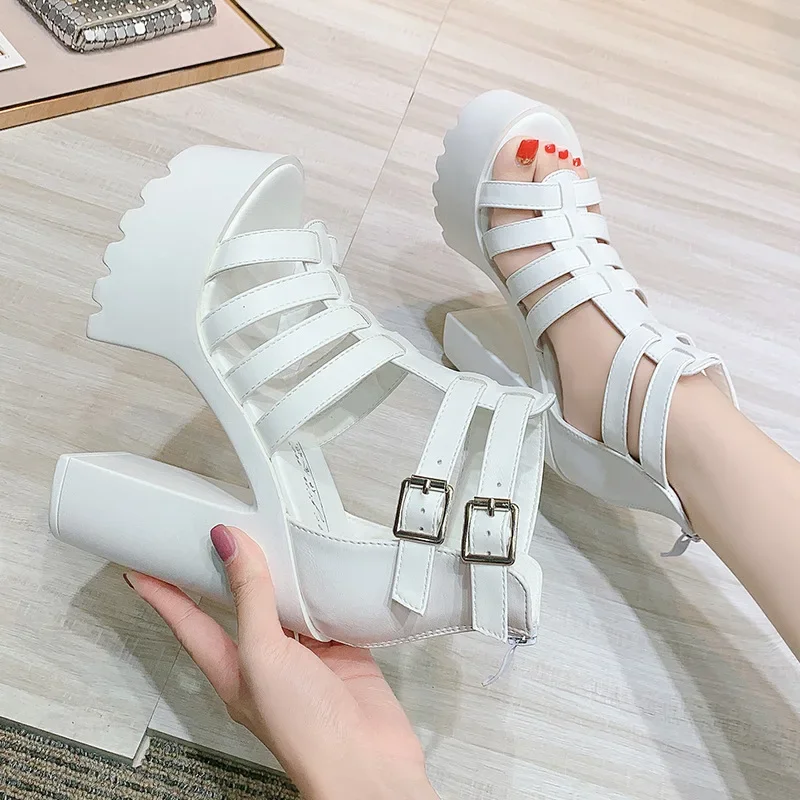 2024 New Summer Open Toe Platform Shoes Women Waterproof Casual Ladies Shoes PU Buckle Strap 14CM Thick High Heels Shoes Women