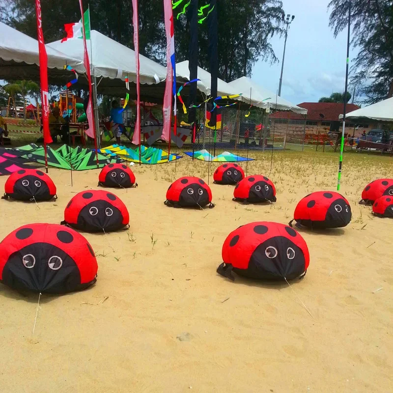 Aquilone coccinella aquiloni morbidi per bambini può camminare non volare giochi da giardino all'aperto in nylon ripstop giocattolo sportivo Giocattoli gonfiabili kitesurf