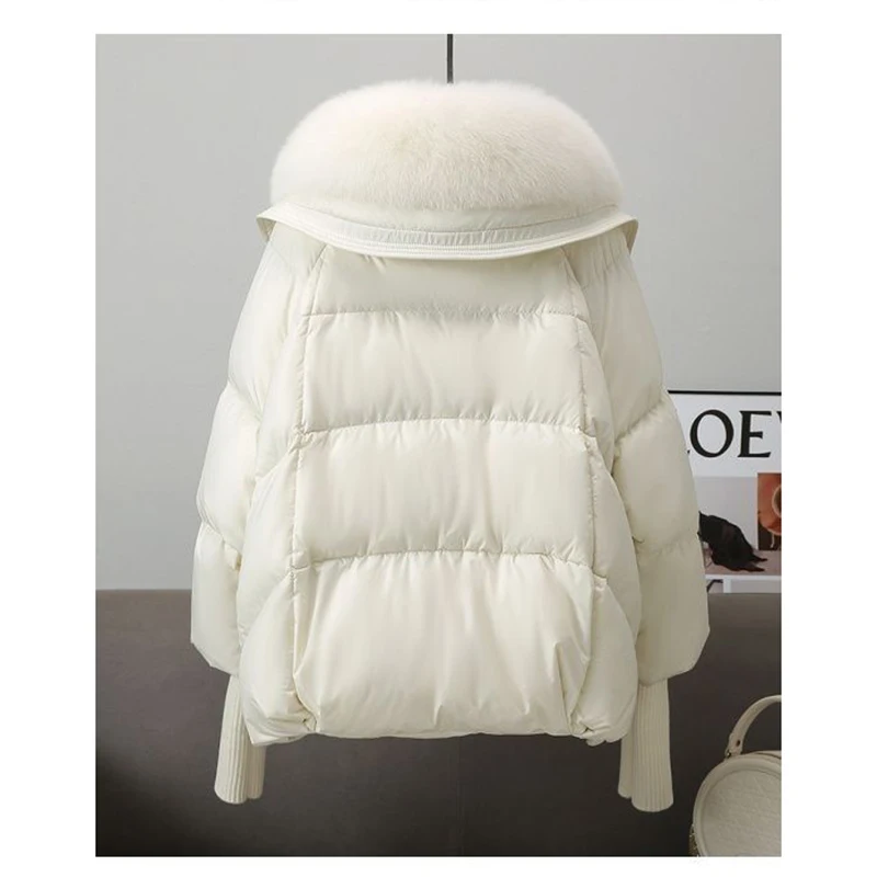 Winter Pocket Zipper Faux Fur Jacket Outerwear Female New Fur Collar Puffer Down Parka Loose Down Warmer Thicken Snow Jacket