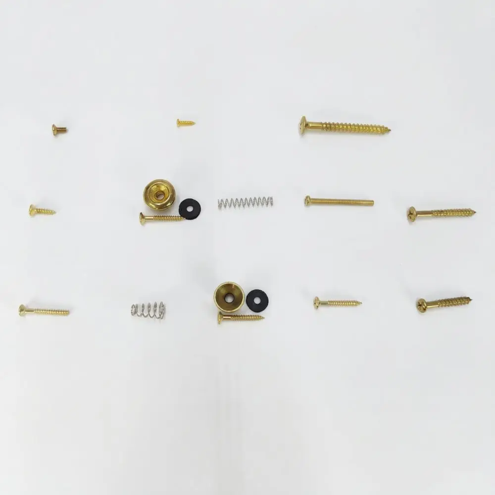 Guitar Repair Hardware Set Screw Assortment Strap Pins Tool Kit For Bass Acoustic Electric Instrument Maintenance Box