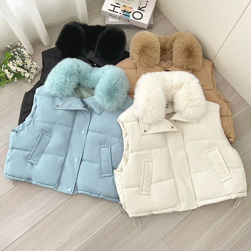

Women Vest Autumn Winter Sleeveless Waistcoat Casual Women Thick Short Vestcoat Two Pockets Warm Sleeveless Jacket for Female