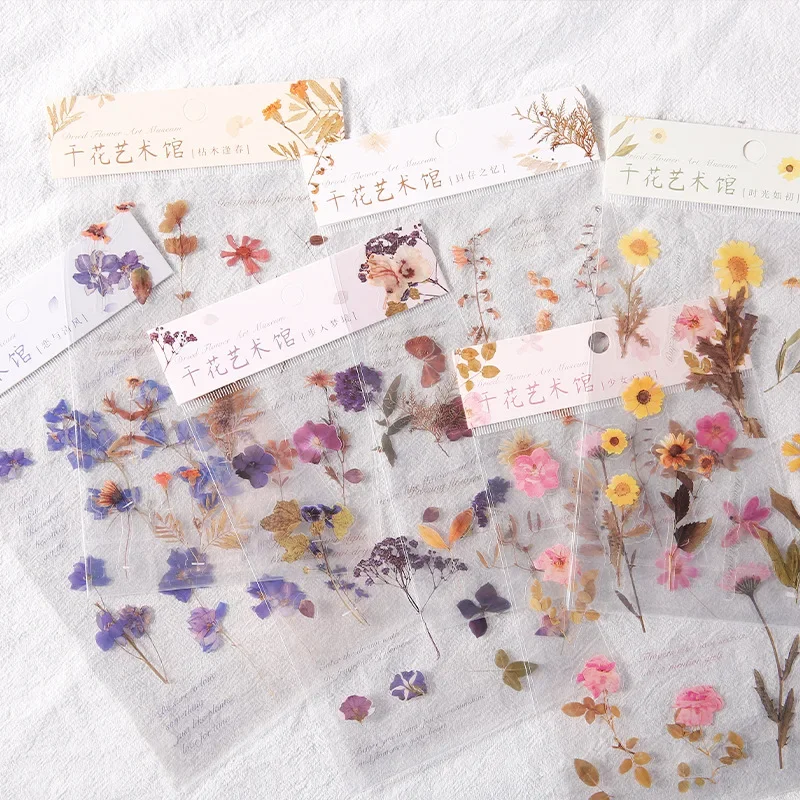 

1pc PET Dry Flower Art Museum Series Plant Creative Hand Account Journal Diary Material DIY Decorative Stickers