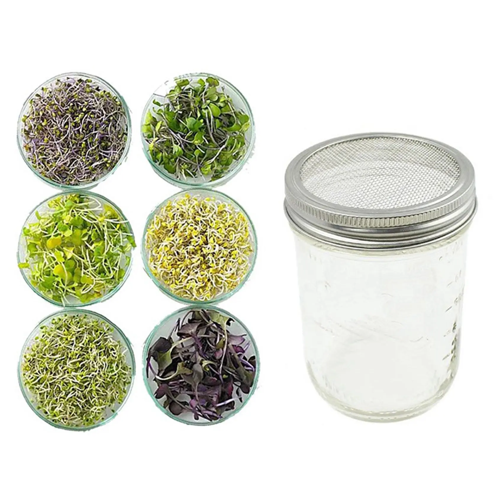 A02M-2 Sätze Edelstahl-Dosendeckel, geeignet für Einmachgläser mit breiter Öffnung zum Einmachen von Bio-Sprossen und Brokkoli-Linsensamen