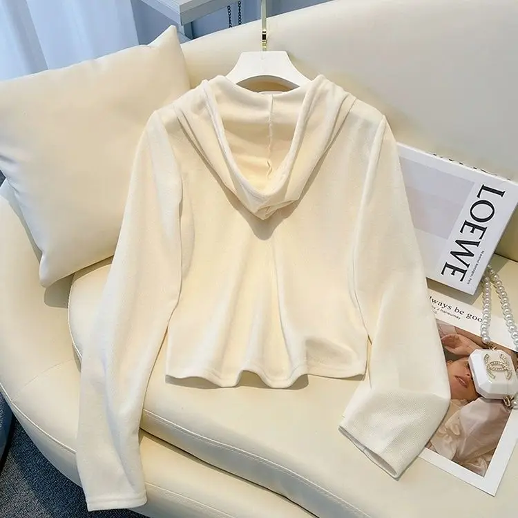 Kapuzenpullover mit Sakura für Damen, Farbblock-Farbverlauf, klassisch, schwer, mehrfarbig, vier Jahreszeiten, cool gefüttert, schick, einzigartig, schlichte Kapuze