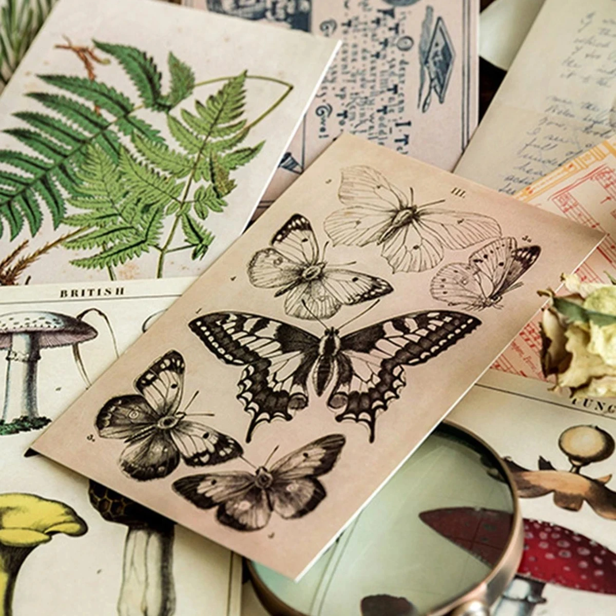 30 pcs Retro Ancient Forest Animals Plants Specimen Postcard Vintage Creative Writing Greeting Postcards Diar Journals DIY