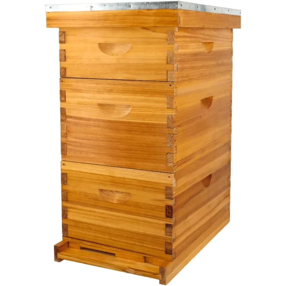 8 Frame Bee Hive Complete Beehive Kit Beeswax Coated Include Frames and Foundation Sheet for for All Beekeeping Levels