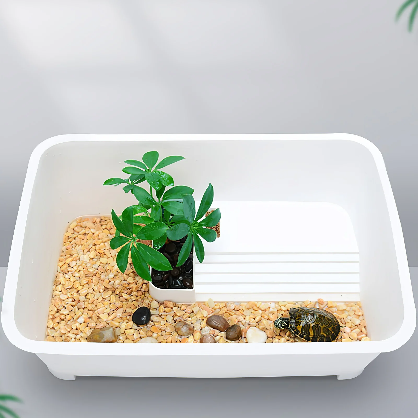 

Turtle Tank With Platform Multi-Function Reptile Habitat Aquarium For Pet Turtle Indoor Tortoise Living Box Plastic