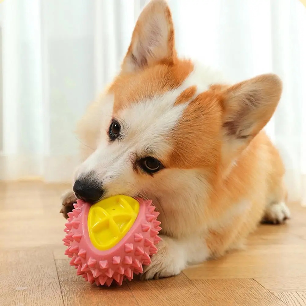 

Dog Toy with Raised Texture Long-lasting Dog Chew Toy Durable Teeth Molar Toy Durian-shaped Dog Teething Toy with for Training