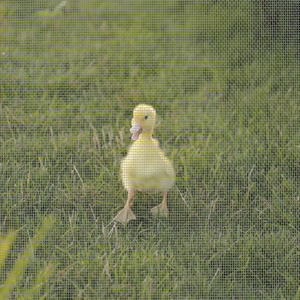 

Stainless Steel Wire Mesh 30x250cm Durable Metal Screen Netting for Windows Doors Security Cabinets Chicken Coops Bbq Vent