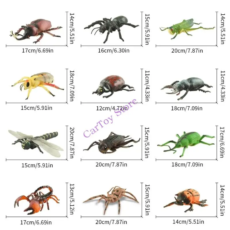 Estatueta modelo insetos PVC, treinamento observação haste, brinquedo aprendizagem científica, 3 peças