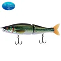 COLOR-BASS-004