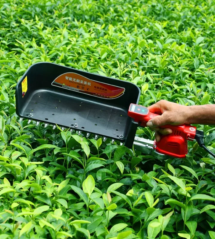 Arrival Lithium Electric Handheld Tea Picker Harvester Picking Machine Large baffle 24V bare (excluding bat-tery)