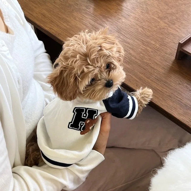 

Pet Dog Baseball Clothes Summer Teddy T-shirt Bichon Letter Embroidery Two Legs Clothes Yorkshire Casual Pullover Sweatshirt