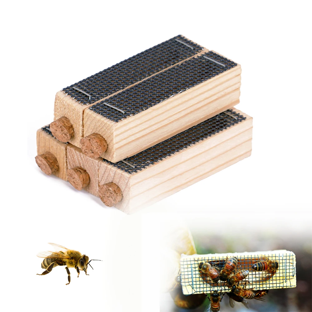 Mini California Cage Wooden Banking Imprison Introducing With Cork Screen Protection Candy Plug Beekeeping Apiculture Tools 5PCS