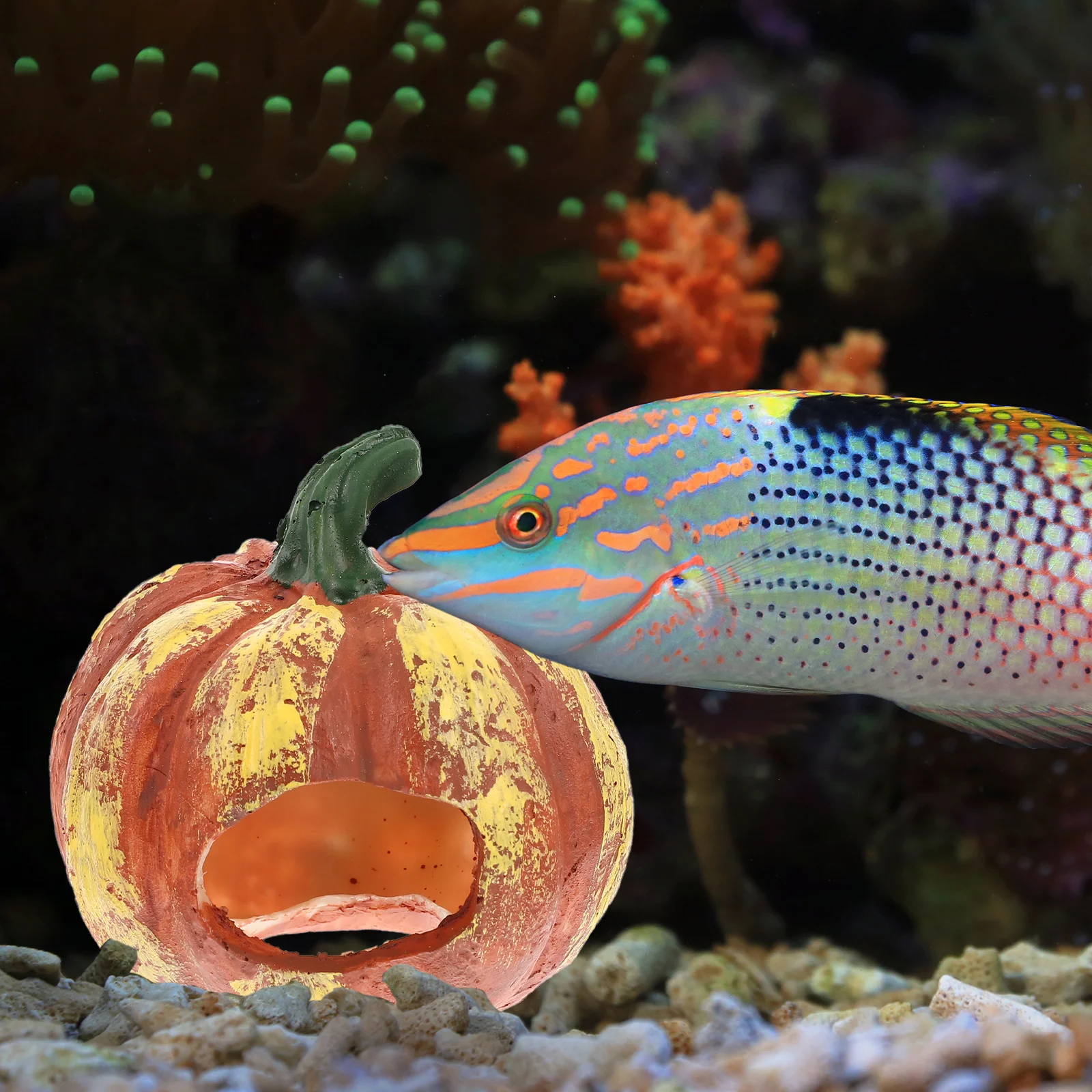 

Pumpkin Shaped Shrimp Cave Resin Aquarium Cave Decor for Fish Tank Shelter Adorable Fish Accessories Lovely Aquarium Decor