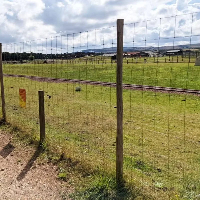 

Customized Farm Fence/Rolled Fencing High Tensile Woven Wire Fence